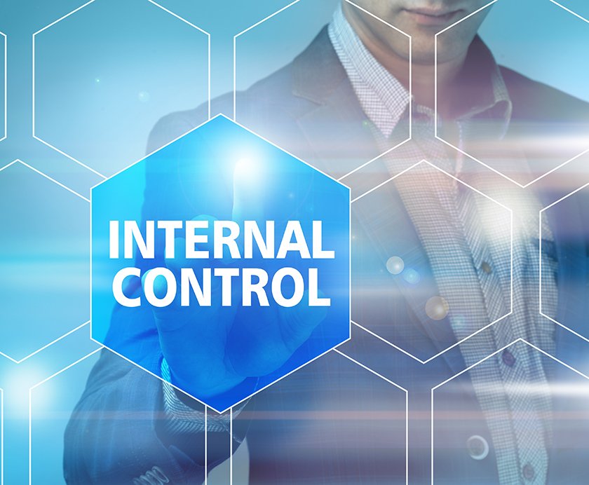 Read more about the article Internal Controls – A Case for a better branding !